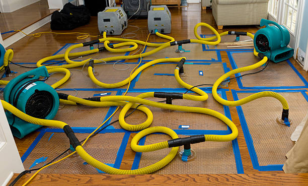 Professional Storm Water Damage Restoration technician working in Valley Stream, NY